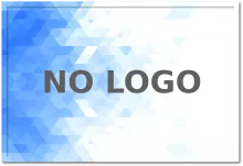 logo placeholder